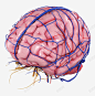 人脑脉络3D立体插画 页面网页 平面电商 创意素材