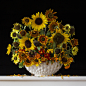 Sunflowers_Marigolds8