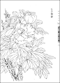 花白描的搜索结果_百度图片搜索