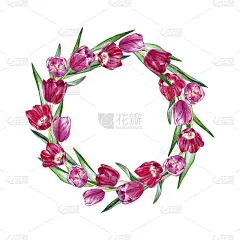 手绘水彩郁金香花环在白色的背景
