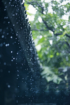 锈春刀采集到雨