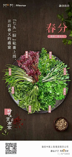 XiGa-采集到水果生鲜食品海报kv