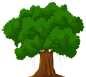 Cartoon Green Tree PNG Clipart - Best WEB Clipart : Cartoon Green Tree PNG Clipart in category Trees PNG / Clipart - Transparent PNG pictures and vector rasterized Clip art images.