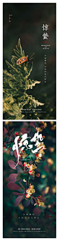 惊蛰-源文件分享-ywjfx.cn