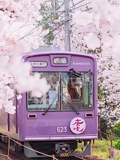 今日高清手机壁纸分享 : 个人珍藏 花花复古壁纸 壁纸图片保存方法 1⃣️复制链接，粘贴到浏览器再保存 2⃣️点击右上角的三个点，生成长图后保存 3⃣️觉得不够清晰的可以私我哦 喜欢就点赞收藏关注吧，谢谢你们呀 校车||樱花|