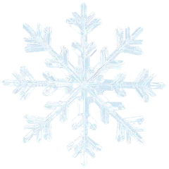 3D立体透明雪花贴纸3