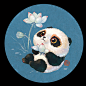 【中国熊猫】荷花篇（二）#财源“滚滚”来！##熊猫# ​​​​