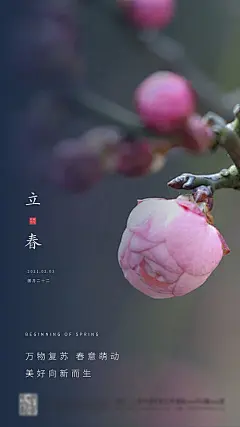 海报 房地产 二十四节气 立春 花苞