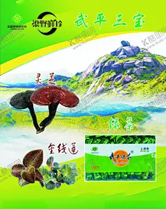 武平三宝 【酷图网】武平三宝,灵芝,金线莲,绿茶,古母石