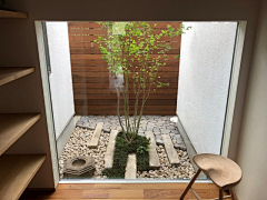 AZ8eI2JJ采集到天井植物