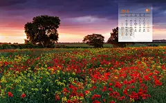 2014年9月台历桌面 即将到来的14年9月日历壁纸下载壁纸图7