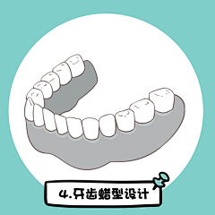 朕+采集到口腔