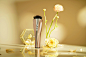 01de3b60cc6dd611013eaf70a84c33.jpg@1280w_1l_2o_100sh