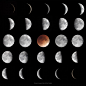 Phases of the Moon 
Image Credit & Copyright: Jean-Francois Gout, Tom Polakis
Explanation: Look at the Moon every night and its visible sunlit portion gradually changes. In phases progressing from New Moon to Full Moon to New Moon again, a lunar cycle