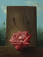 专辑：Alexei Antonov
