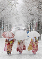 女性和服走大雪在丰岛园游乐场在东京举行庆祝成年日14日。在日本，当他们到达20岁的时候，他们将在日本各地举行婚礼仪式