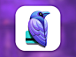 Raven iOS App Icon