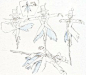 宫崎骏1968年到2008年的手稿收录_小不倒图片专辑-堆糖网