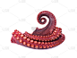 Tentacles of octopus isolated on white background