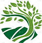 模板,品牌名称,自然,生物学,商务,家庭,环境,植物,树,剪影