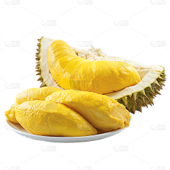 归零^O^*^O^*采集到食物