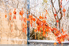 C5bO26Om采集到节日