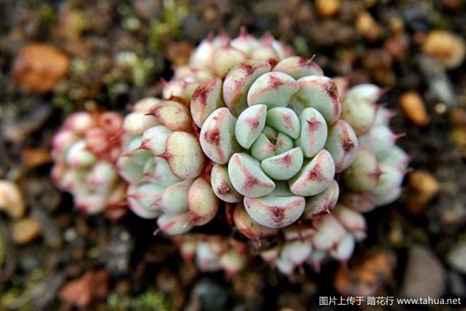 【新提醒】不管天气怎么变化，年复一年。【...