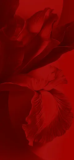红red图片大全-红red高清好看的图片--花瓣艾哩梨的画板