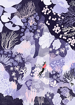 hare6采集到小清新插画