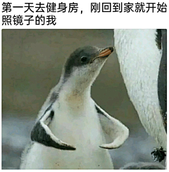 整死那个甲方采集到收藏