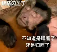 有没有类似的表情包，精神状态特别不好的那种