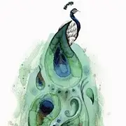 Python-