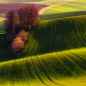 Photograph Green fields 