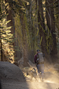 man in blue jacket and brown pants standing on rock in forest during daytime