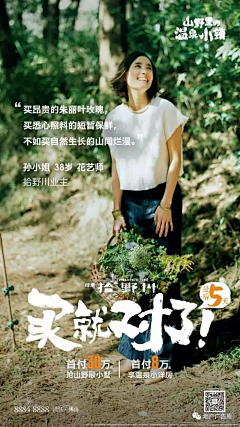 不是设计只是文案采集到小镇