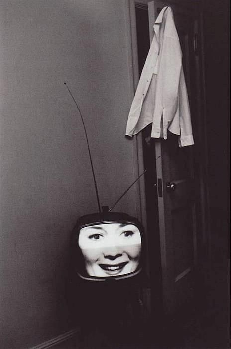 Lee Friedlander, The...