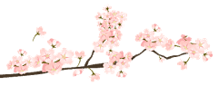 丽丽501897190采集到动态