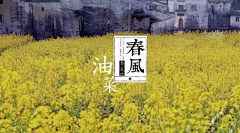 秋凉花之恋采集到24节气