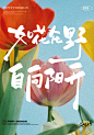 手写字✍“如花在野，自向阳开” - 小红书