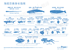 DRose采集到创意