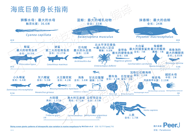 首页 - 知乎