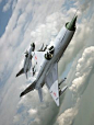 100% Mikoyan & Gurevich MiG-21 | Russian Air Force #aircraft #aircraft #military