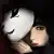 乌龙猫Vivicat