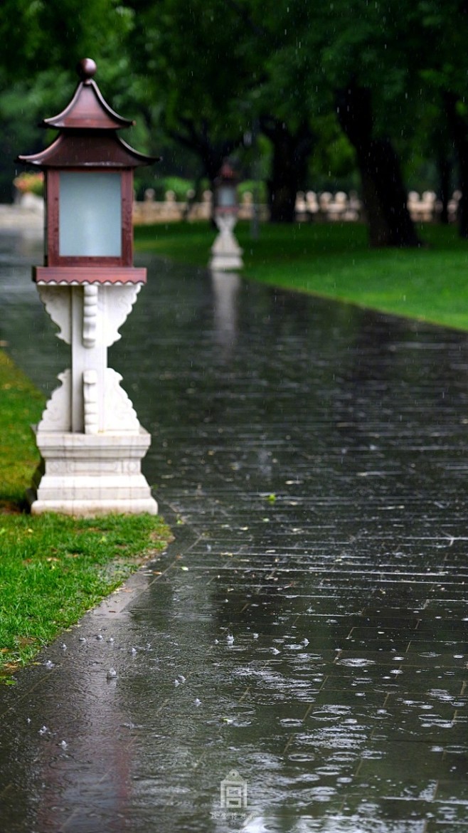 #爱上这座城# 补上了一场初夏的雨