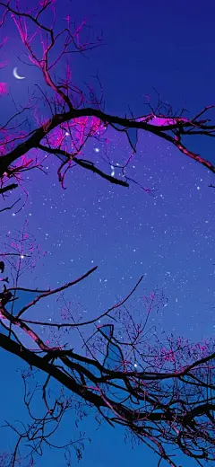 一期粉紫色壁纸 真的好美！ 