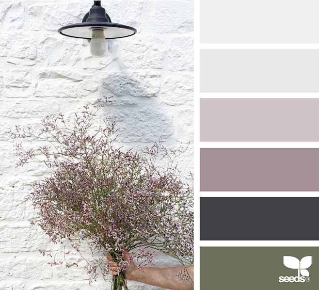 { color simplicity }...