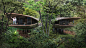 Trees and Trails Tree House visualization at…_百度图片搜索