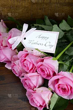 Vintage Pink Roses on Dark Wood Background。
