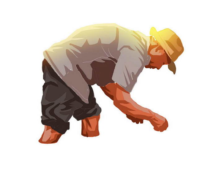 正在插秧的农民伯伯劳动人民五一劳动节素材psd