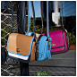 教练的Instagram主页(@coach) -  veryins.com